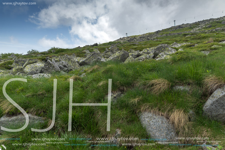 Panorama with green hills of Vitosha Mountain near Cherni Vrah Peak, Sofia City Region, Bulgaria