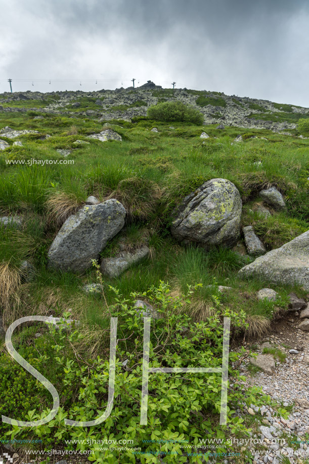 Panorama with green hills of Vitosha Mountain near Cherni Vrah Peak, Sofia City Region, Bulgaria