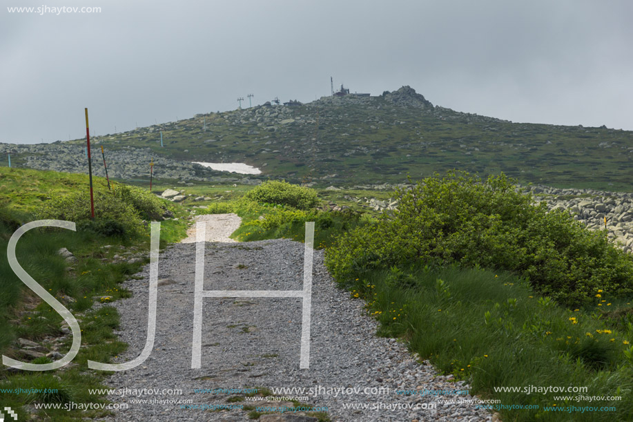 Panorama with green hills of Vitosha Mountain near Cherni Vrah Peak, Sofia City Region, Bulgaria