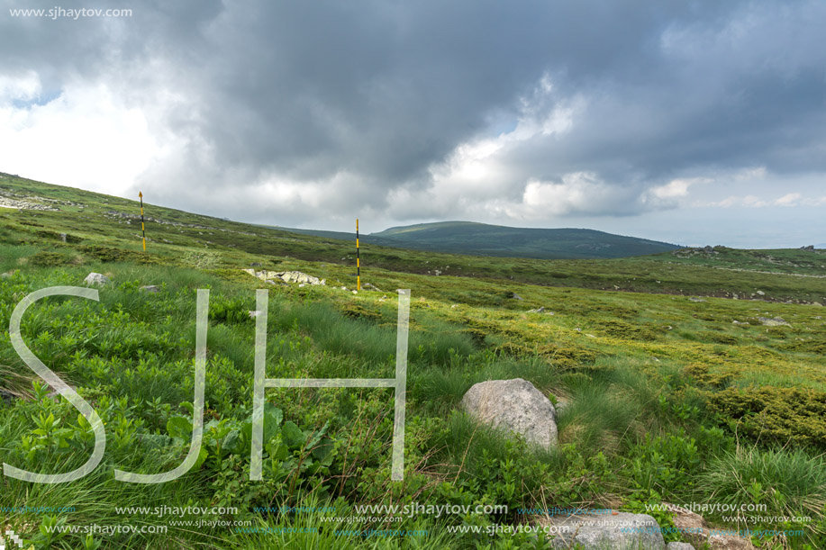 Panorama with green hills of Vitosha Mountain near Cherni Vrah Peak, Sofia City Region, Bulgaria