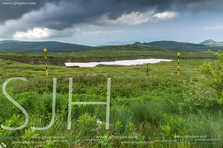 Panorama with green hills of Vitosha Mountain near Cherni Vrah Peak, Sofia City Region, Bulgaria