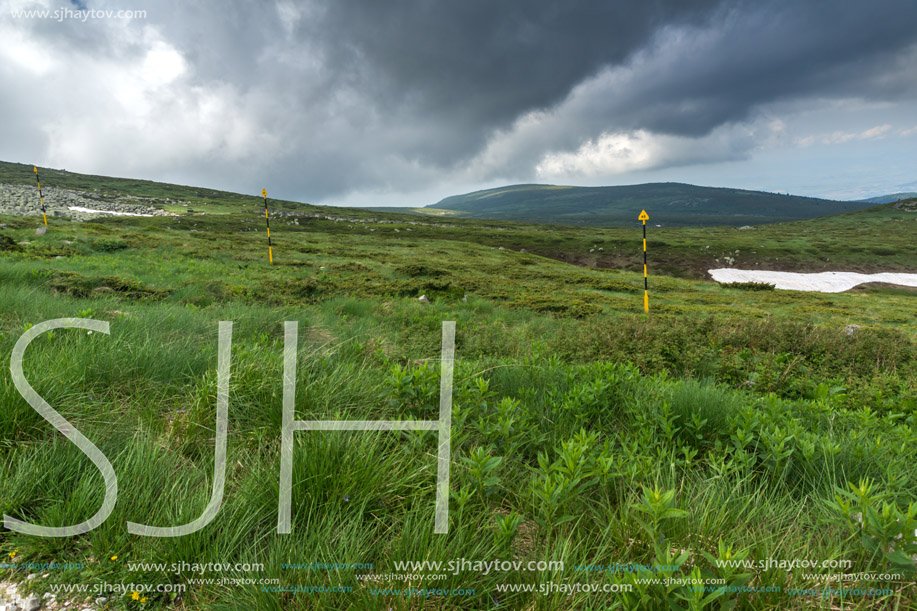 Panorama with green hills of Vitosha Mountain near Cherni Vrah Peak, Sofia City Region, Bulgaria