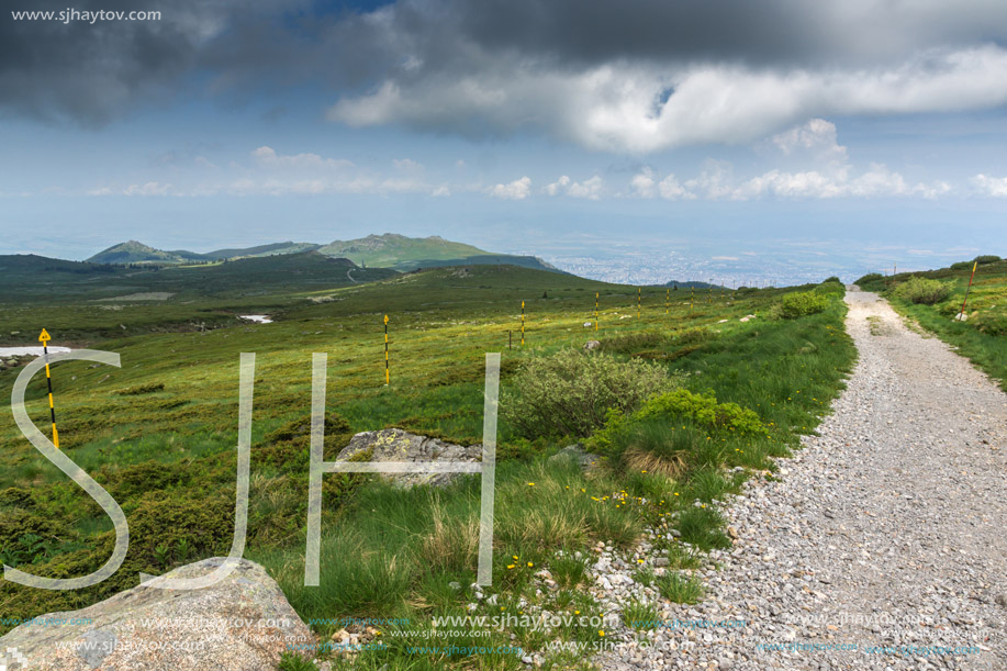 Panorama with green hills of Vitosha Mountain near Cherni Vrah Peak, Sofia City Region, Bulgaria