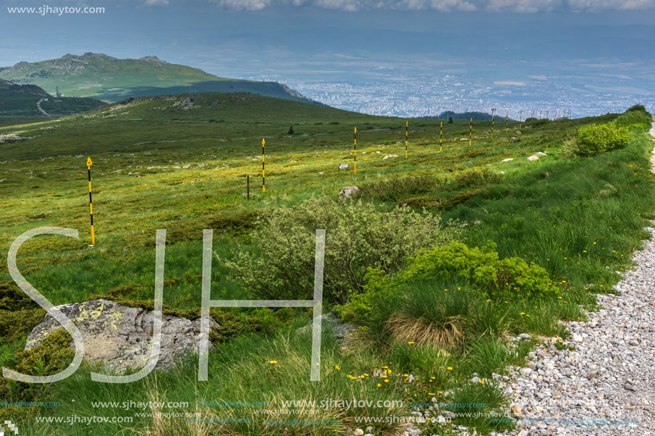 Panorama with green hills of Vitosha Mountain near Cherni Vrah Peak, Sofia City Region, Bulgaria