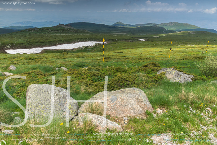 Panorama with green hills of Vitosha Mountain near Cherni Vrah Peak, Sofia City Region, Bulgaria