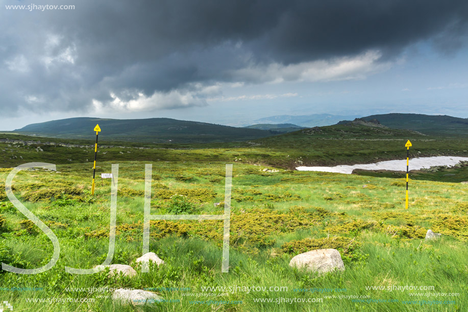 Panorama with green hills of Vitosha Mountain near Cherni Vrah Peak, Sofia City Region, Bulgaria