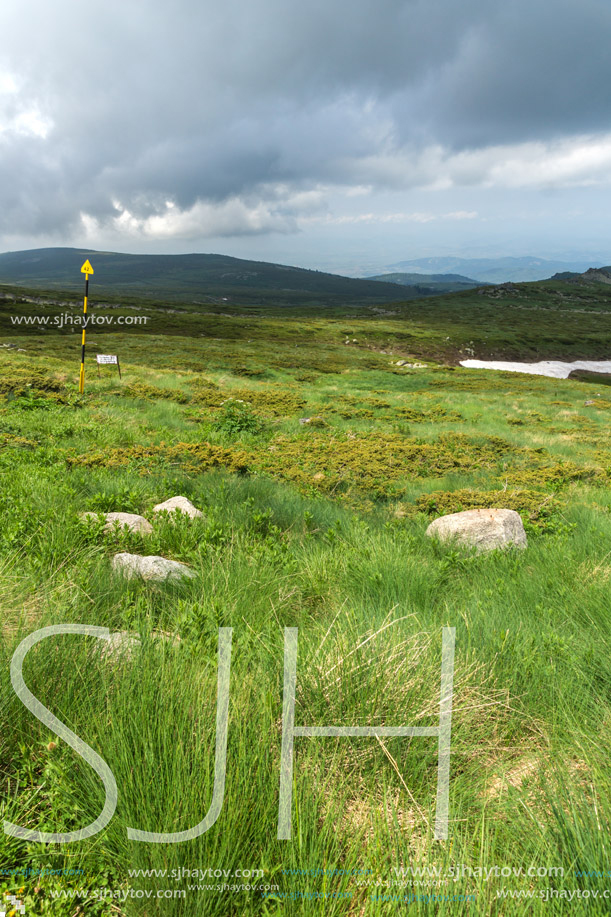 Panorama with green hills of Vitosha Mountain near Cherni Vrah Peak, Sofia City Region, Bulgaria