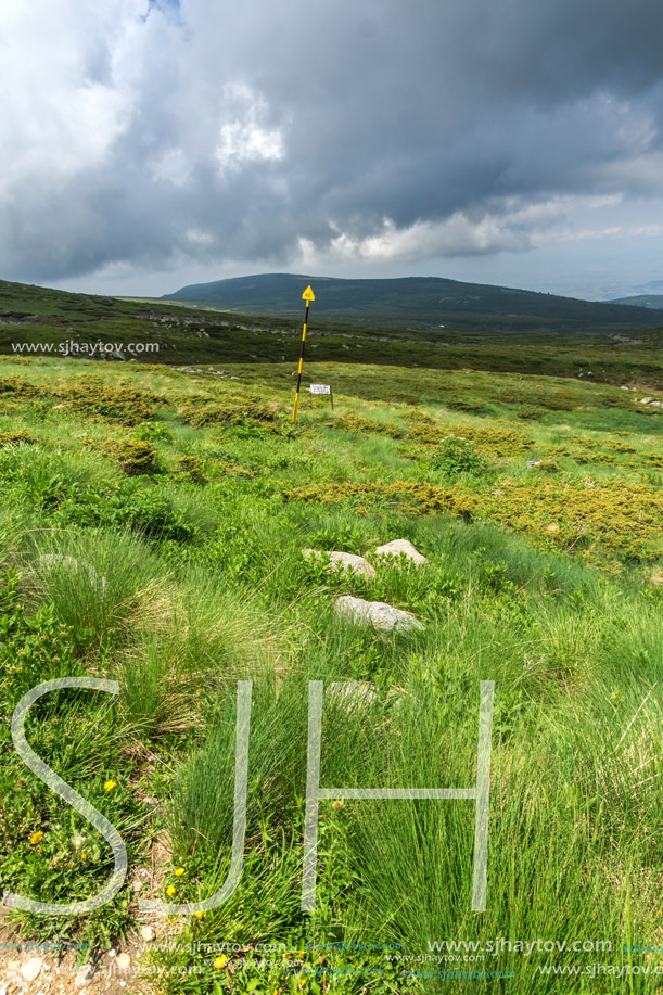 Panorama with green hills of Vitosha Mountain near Cherni Vrah Peak, Sofia City Region, Bulgaria