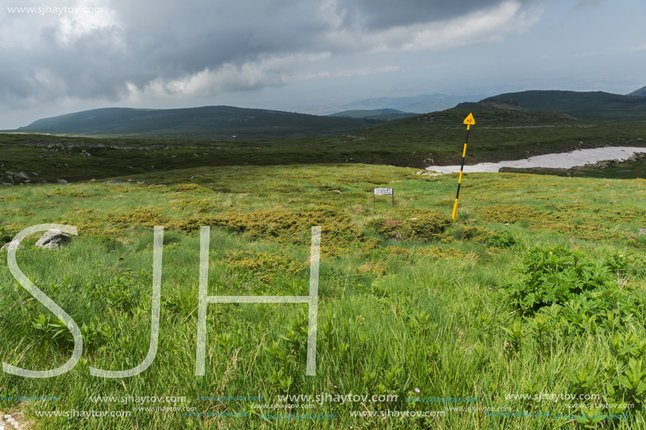 Panorama with green hills of Vitosha Mountain near Cherni Vrah Peak, Sofia City Region, Bulgaria
