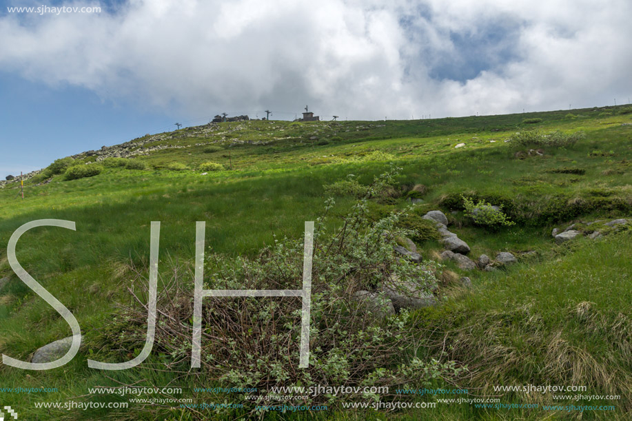 Panorama with green hills of Vitosha Mountain near Cherni Vrah Peak, Sofia City Region, Bulgaria