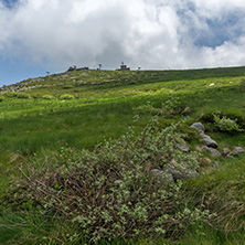 Panorama with green hills of Vitosha Mountain near Cherni Vrah Peak, Sofia City Region, Bulgaria