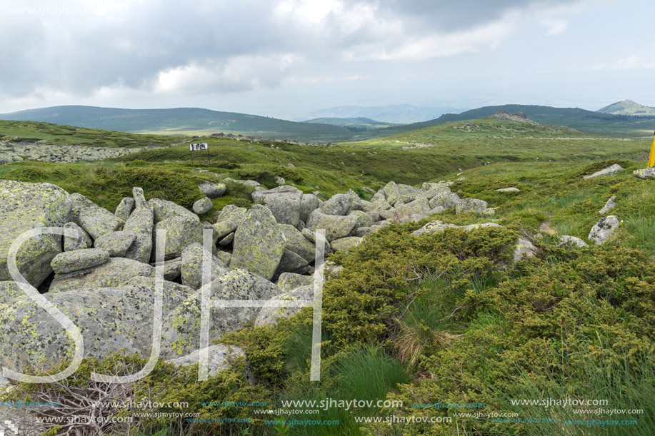 Panorama with green hills of Vitosha Mountain near Cherni Vrah Peak, Sofia City Region, Bulgaria