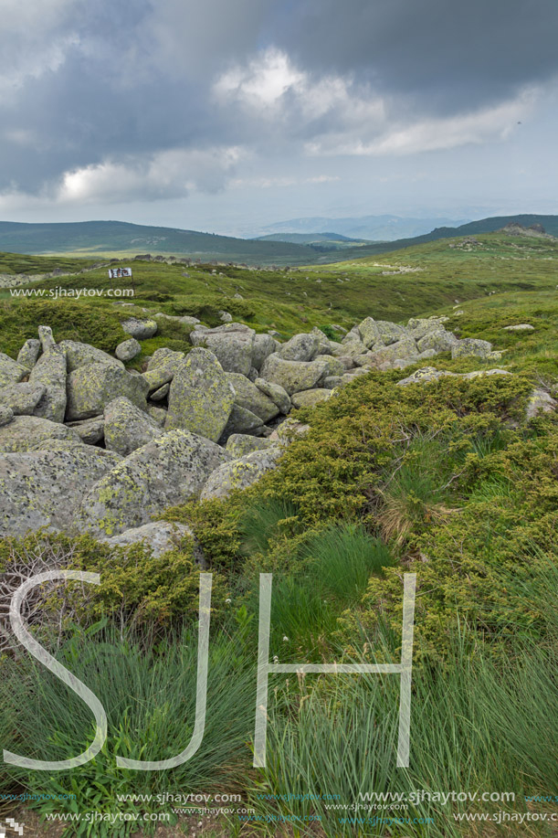 Panorama with green hills of Vitosha Mountain near Cherni Vrah Peak, Sofia City Region, Bulgaria