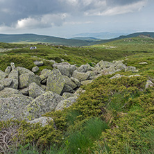 Panorama with green hills of Vitosha Mountain near Cherni Vrah Peak, Sofia City Region, Bulgaria
