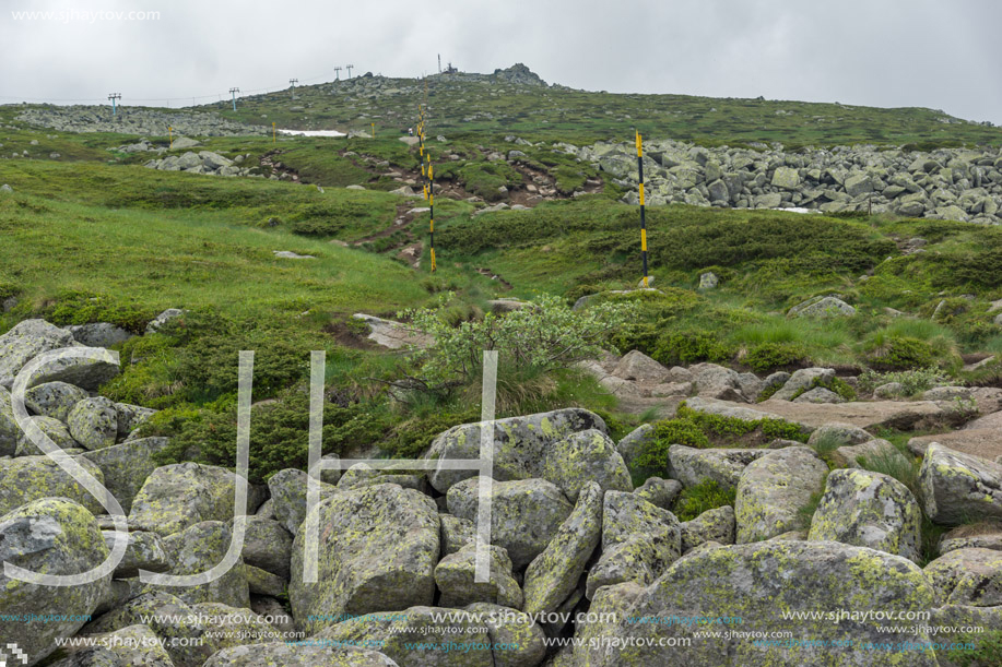 Panorama with green hills of Vitosha Mountain near Cherni Vrah Peak, Sofia City Region, Bulgaria