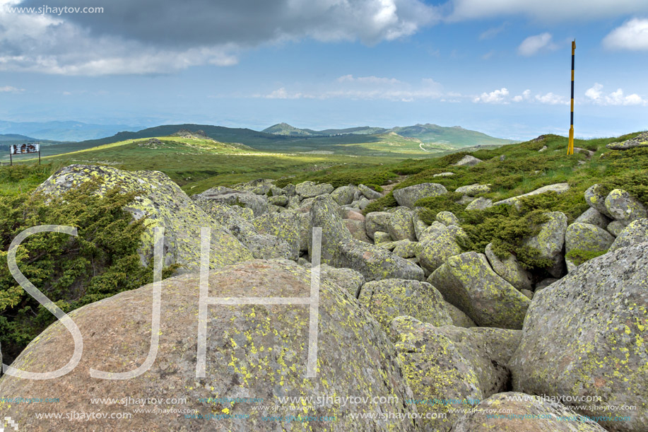 Panorama with green hills of Vitosha Mountain near Cherni Vrah Peak, Sofia City Region, Bulgaria