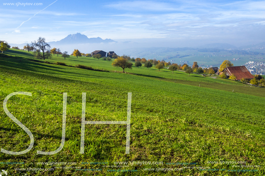 Green meadows above Lake Lucerne, near mount Rigi, Alps, Switzerland