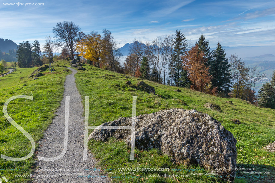 Green meadows above Lake Lucerne, near mount Rigi, Alps, Switzerland