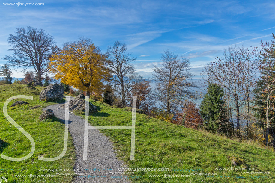 Green meadows above Lake Lucerne, near mount Rigi, Alps, Switzerland