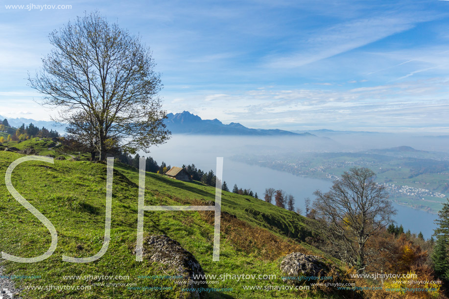 Green meadows above Lake Lucerne, near mount Rigi, Alps, Switzerland