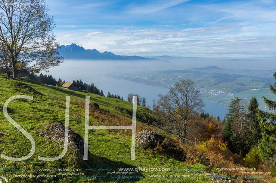 Green meadows above Lake Lucerne, near mount Rigi, Alps, Switzerland