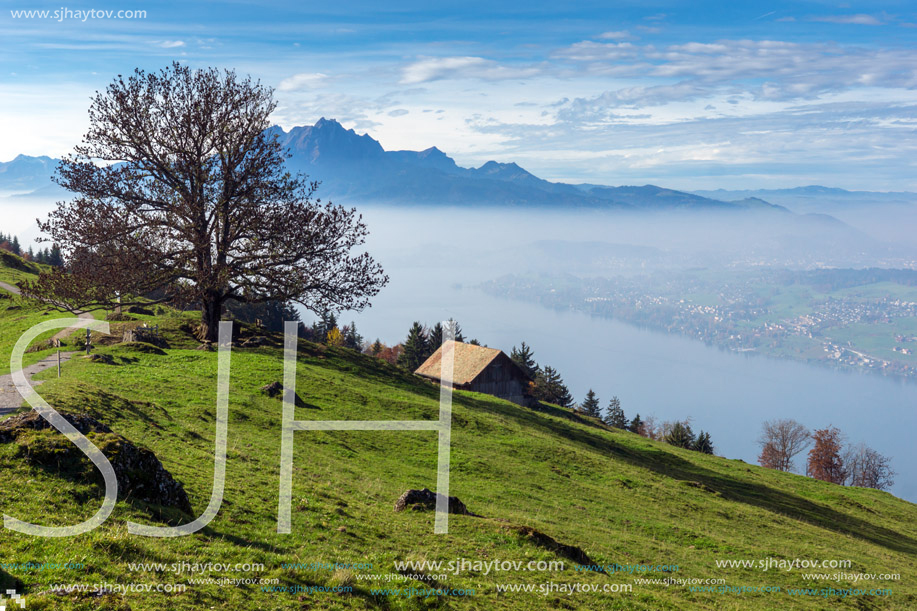 Green meadows above Lake Lucerne, near mount Rigi, Alps, Switzerland