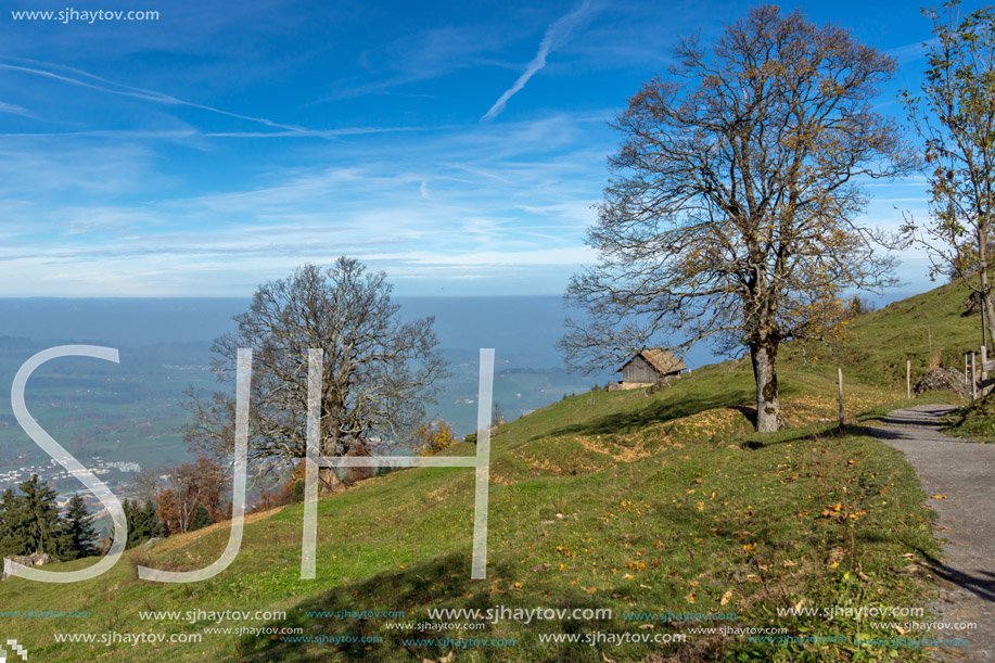 Green meadows above Lake Lucerne, near mount Rigi, Alps, Switzerland