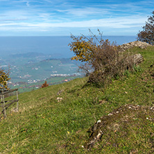 Green meadows above Lake Lucerne, near mount Rigi, Alps, Switzerland