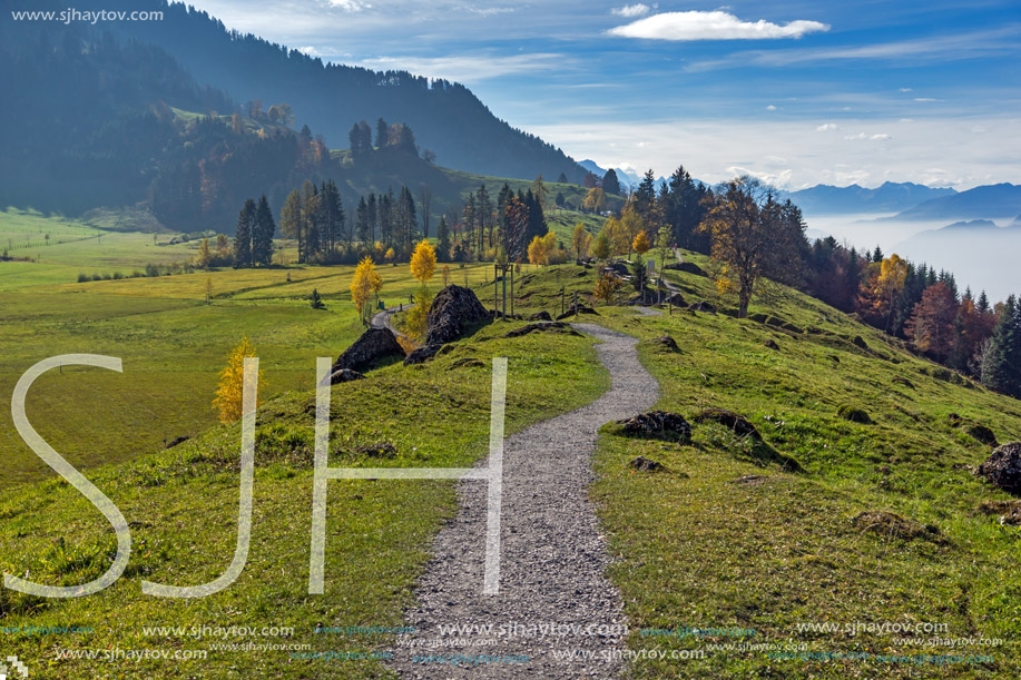 Green meadows above Lake Lucerne, near mount Rigi, Alps, Switzerland