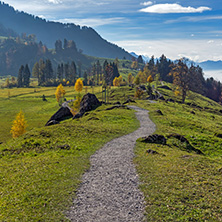 Green meadows above Lake Lucerne, near mount Rigi, Alps, Switzerland