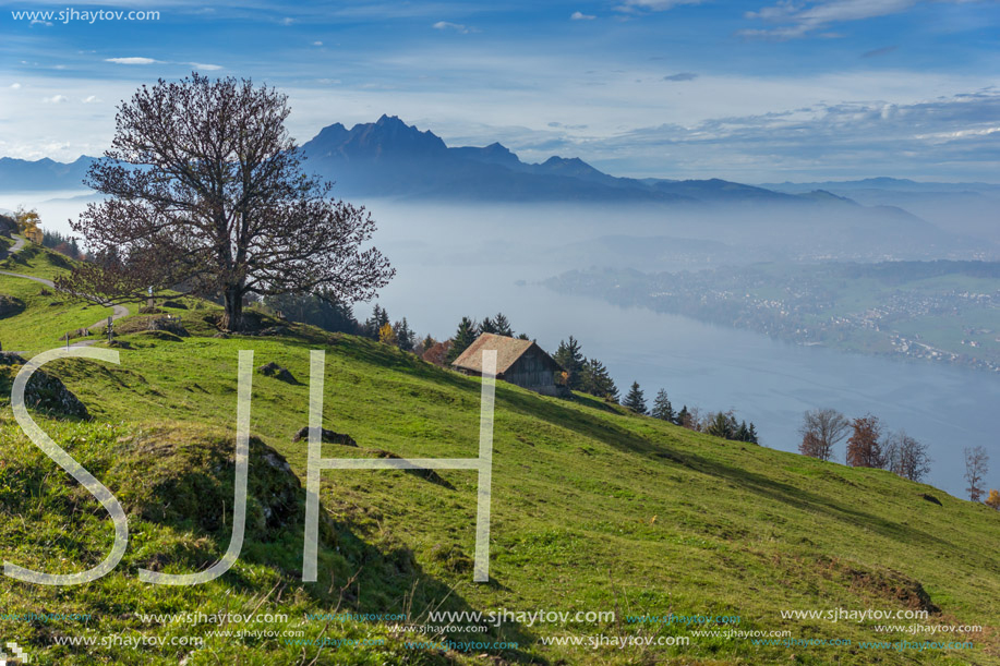 Green meadows above Lake Lucerne, near mount Rigi, Alps, Switzerland