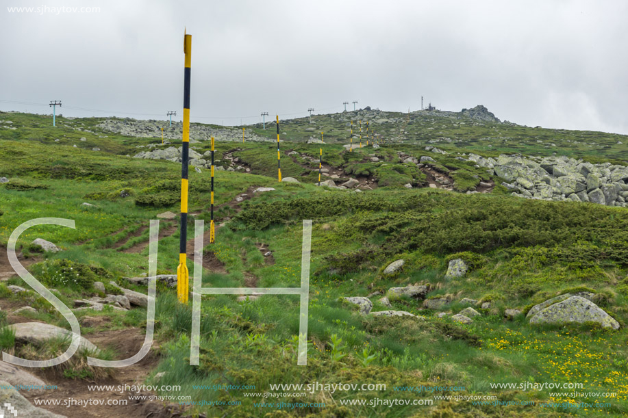 Landscape of Vitosha Mountain near Cherni Vrah Peak, Sofia City Region, Bulgaria