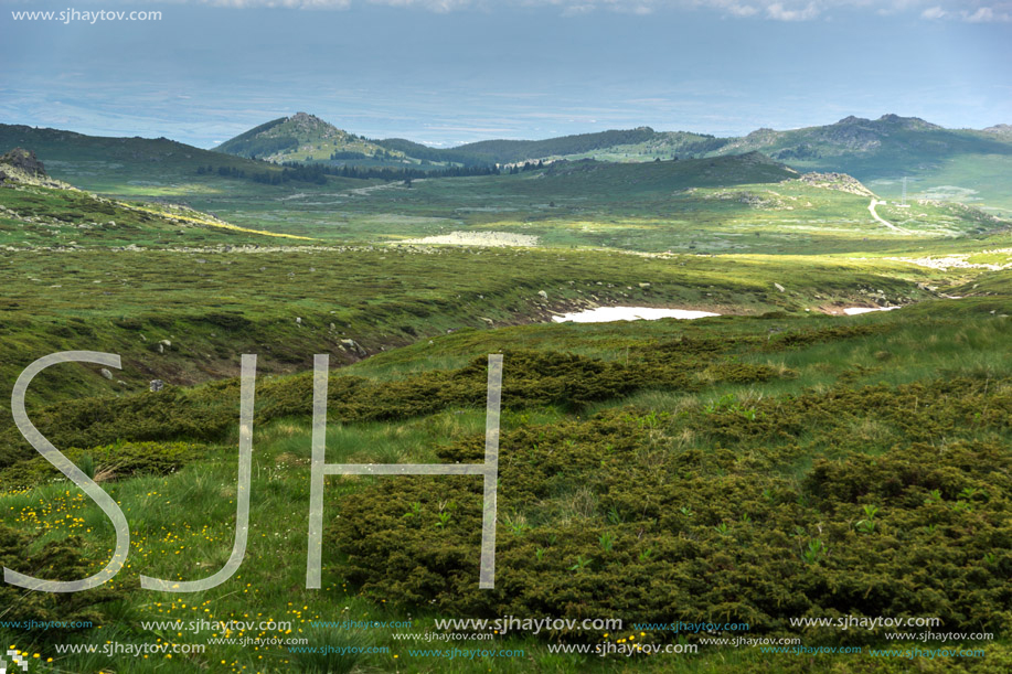 Landscape of Vitosha Mountain near Cherni Vrah Peak, Sofia City Region, Bulgaria