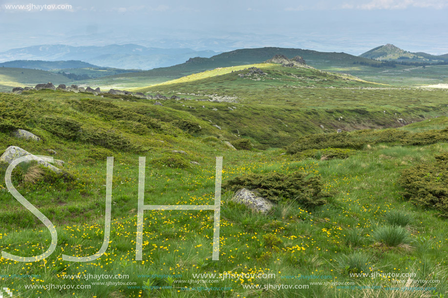 Landscape of Vitosha Mountain near Cherni Vrah Peak, Sofia City Region, Bulgaria