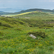 Landscape of Vitosha Mountain near Cherni Vrah Peak, Sofia City Region, Bulgaria