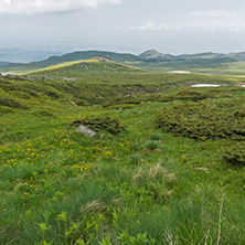 Landscape of Vitosha Mountain near Cherni Vrah Peak, Sofia City Region, Bulgaria