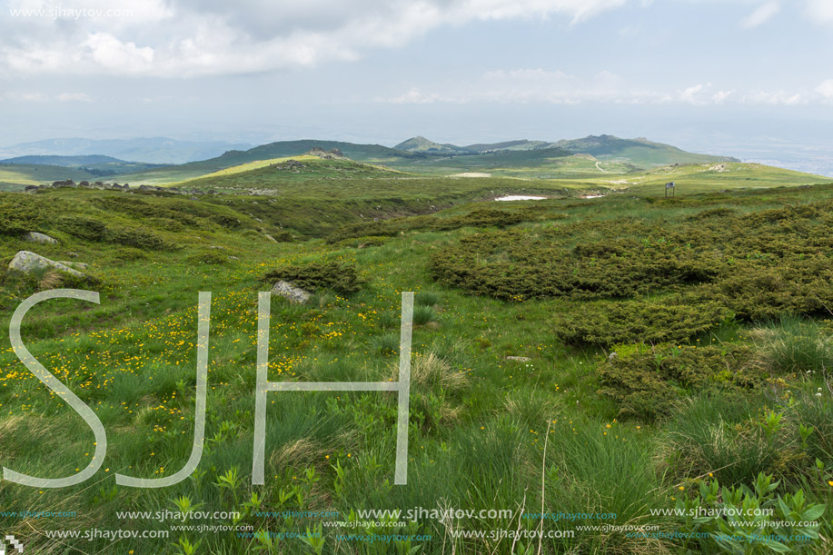 Landscape of Vitosha Mountain near Cherni Vrah Peak, Sofia City Region, Bulgaria