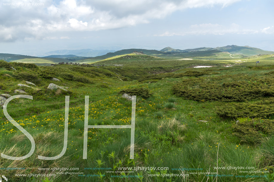 Landscape of Vitosha Mountain near Cherni Vrah Peak, Sofia City Region, Bulgaria