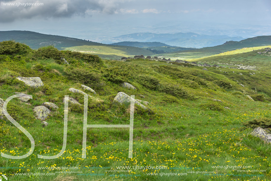 Landscape of Vitosha Mountain near Cherni Vrah Peak, Sofia City Region, Bulgaria