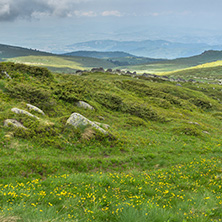 Landscape of Vitosha Mountain near Cherni Vrah Peak, Sofia City Region, Bulgaria
