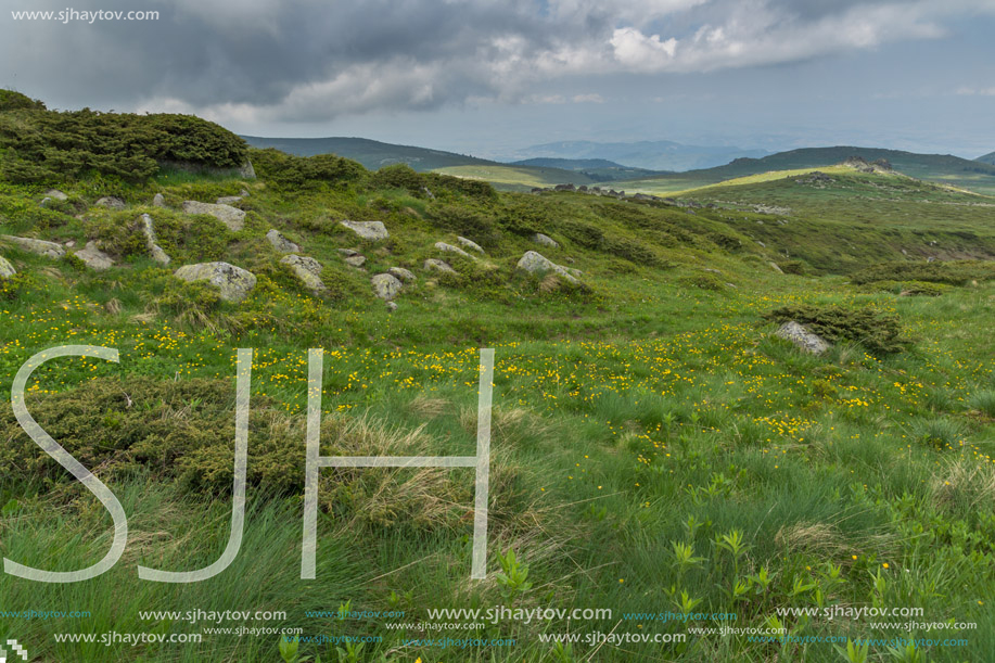 Landscape of Vitosha Mountain near Cherni Vrah Peak, Sofia City Region, Bulgaria