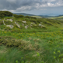 Landscape of Vitosha Mountain near Cherni Vrah Peak, Sofia City Region, Bulgaria