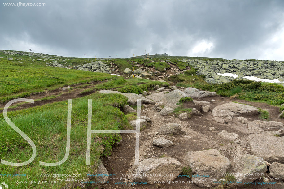 Landscape of Vitosha Mountain near Cherni Vrah Peak, Sofia City Region, Bulgaria