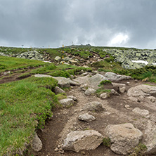 Landscape of Vitosha Mountain near Cherni Vrah Peak, Sofia City Region, Bulgaria