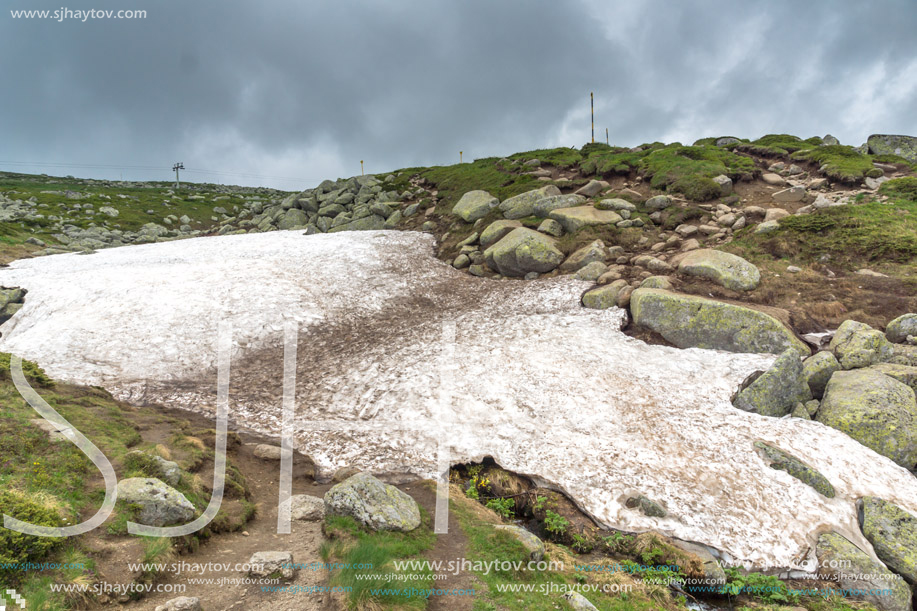 Landscape of Vitosha Mountain near Cherni Vrah Peak, Sofia City Region, Bulgaria