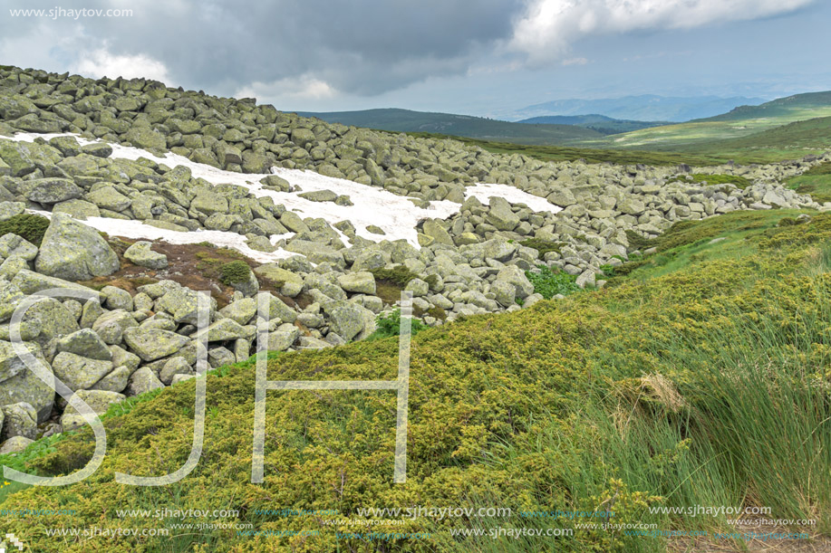 Landscape of Vitosha Mountain near Cherni Vrah Peak, Sofia City Region, Bulgaria