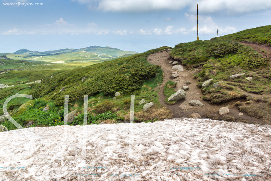 Landscape of Vitosha Mountain near Cherni Vrah Peak, Sofia City Region, Bulgaria