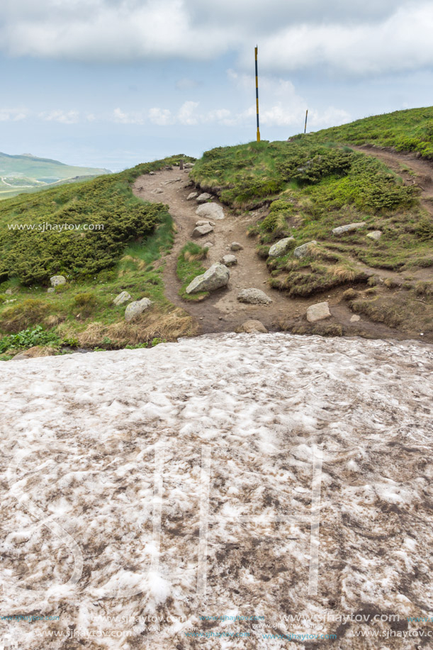 Landscape of Vitosha Mountain near Cherni Vrah Peak, Sofia City Region, Bulgaria