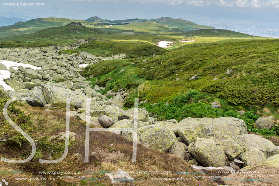 Landscape of Vitosha Mountain near Cherni Vrah Peak, Sofia City Region, Bulgaria