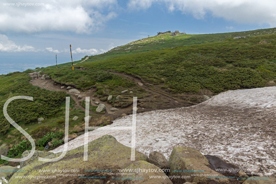 Landscape of Vitosha Mountain near Cherni Vrah Peak, Sofia City Region, Bulgaria